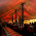 corporate holiday party - interior