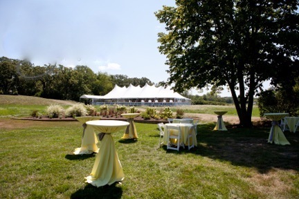 10 Questions to Ask When Renting a Wedding Tent 2