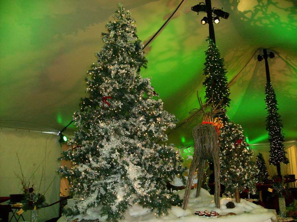 6 Wonderful Winter Party Themes Indestructo Party Rental