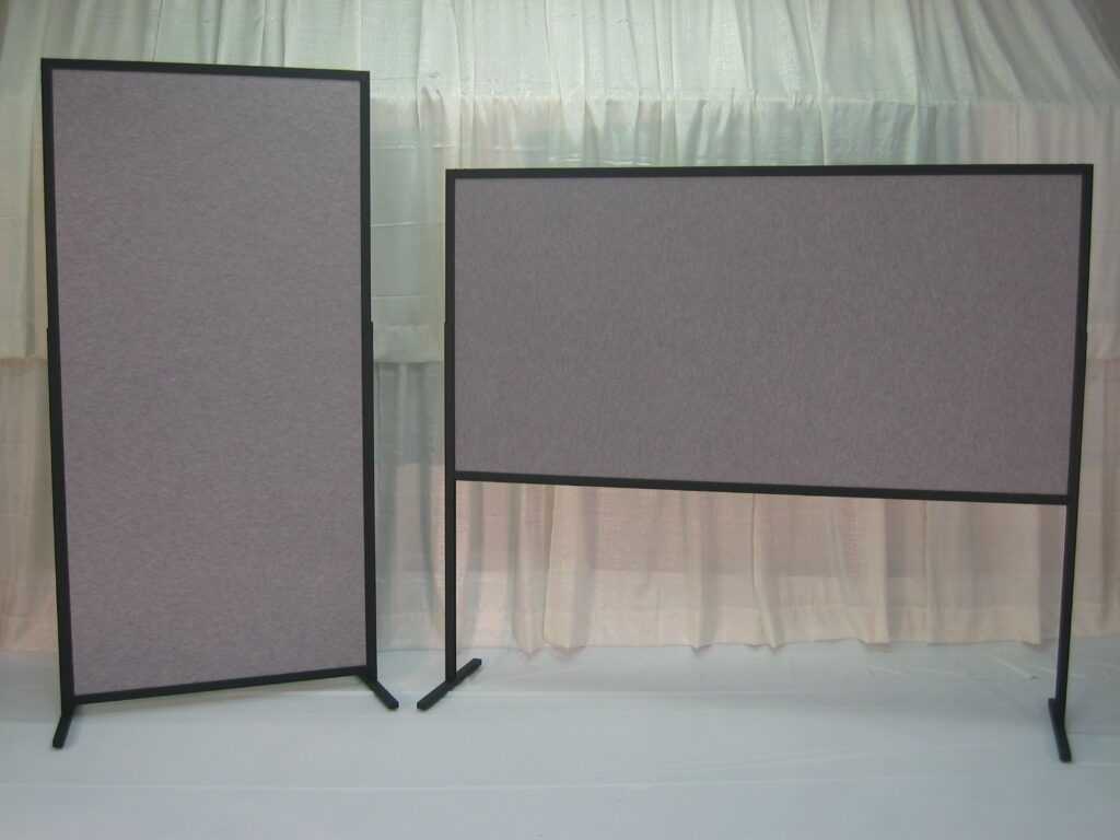 audio and video rental for party